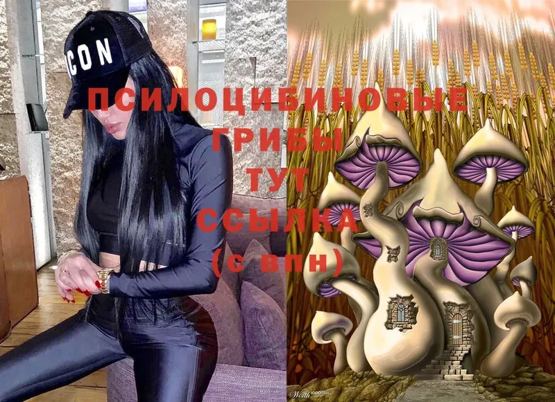 Галлюциногенные грибы Magic Shrooms  МЕГА зеркало  Александровск 