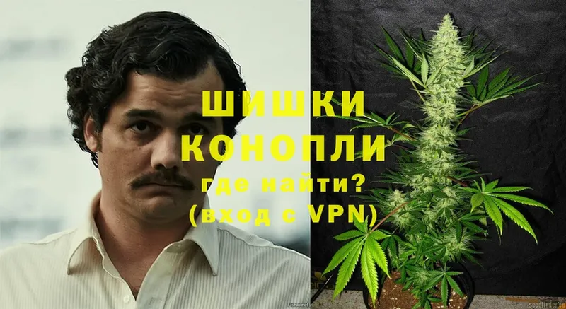 Шишки марихуана THC 21%  MEGA как зайти  Александровск 